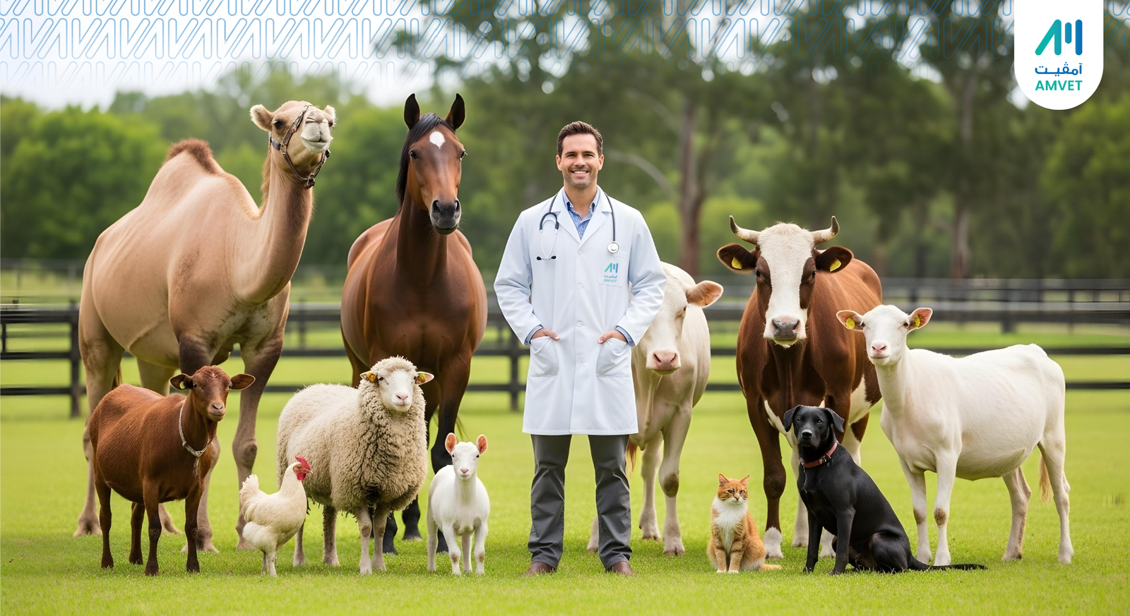 New about us amvet website